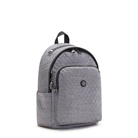 Kipling Delia Classic Backpacks Almost Grey | AU 1555EB